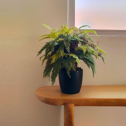 Planta semi-artificiala Ila, Fern Status Country Green - 60 cm 